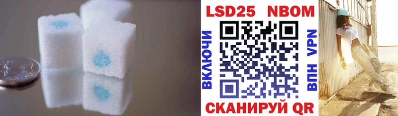 дарнет шоп  Александровск  LSD-25 экстази кислота 