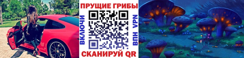закладка Александровск МЕГА ссылки Галлюциногенные грибы Cubensis
